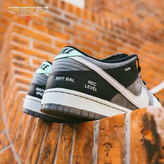 Nike SB Dunk Low VX1000 Camcorder